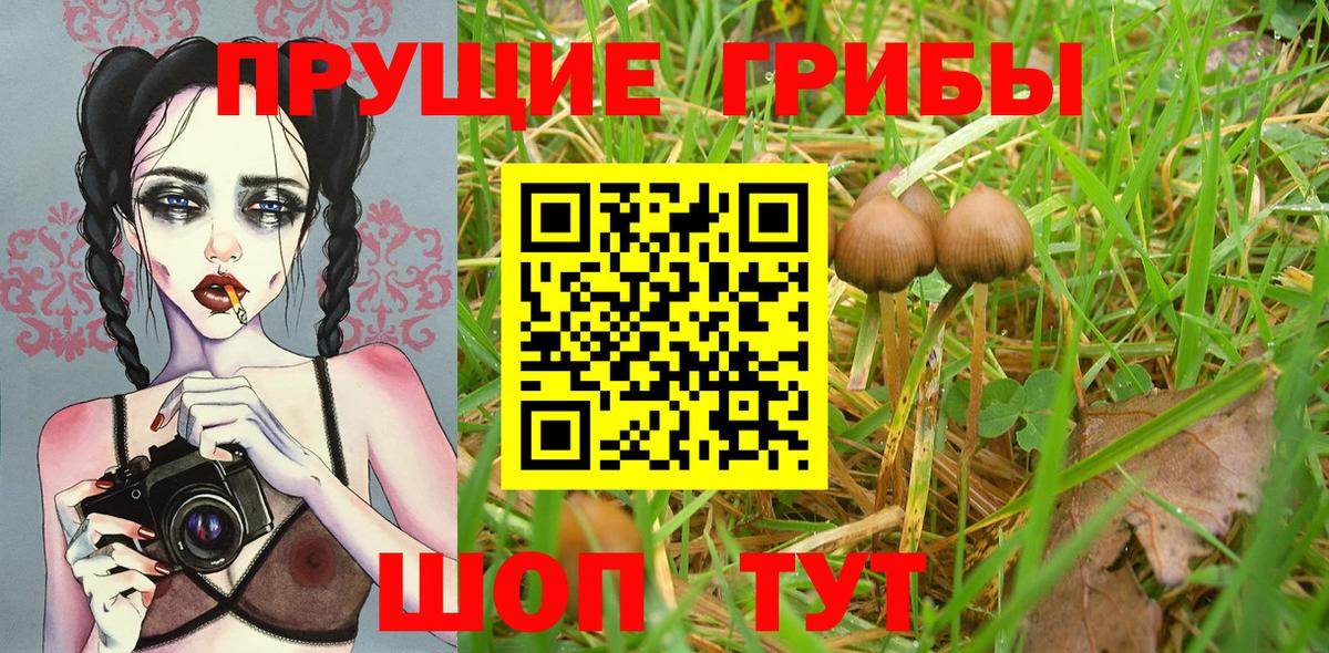 Галлюциногенные грибы Psilocybine cubensis  Вход с VPN  Дзержинск 